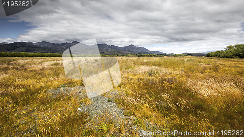 Image of typical meadow in New Zealand