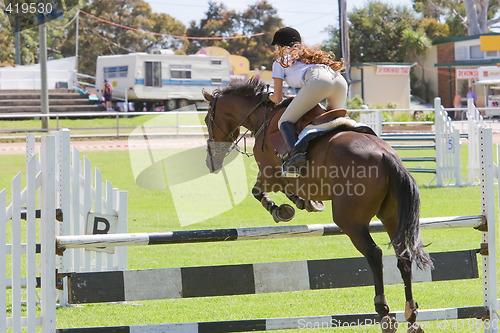 Image of Horse Jumping