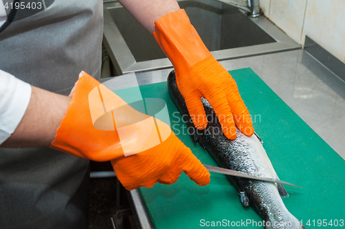 Image of cutting salmon fish