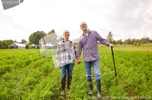 Image of happy senior couple at summer farm