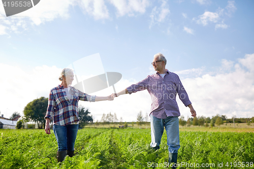 Image of happy senior couple holding hands at summer farm
