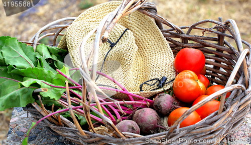 Image of Vegetable basket.