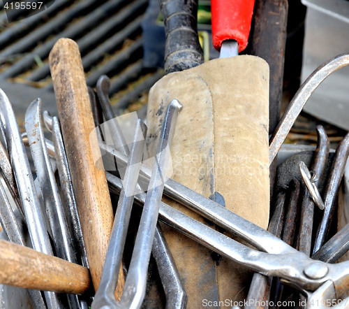 Image of farrier toolbox.