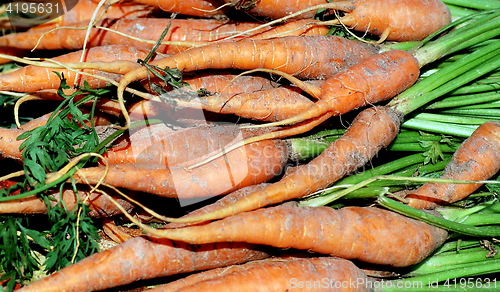 Image of Organic carrots.