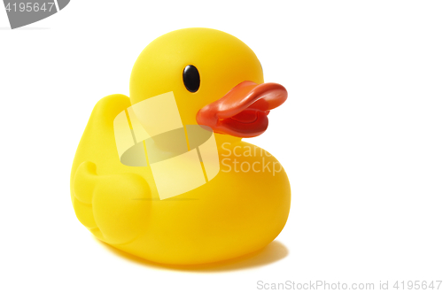 Image of Rubber Duck