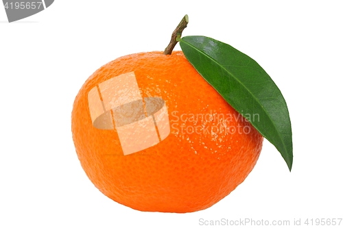 Image of Mandarin orange with leaf