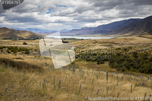 Image of Lake Pukaki