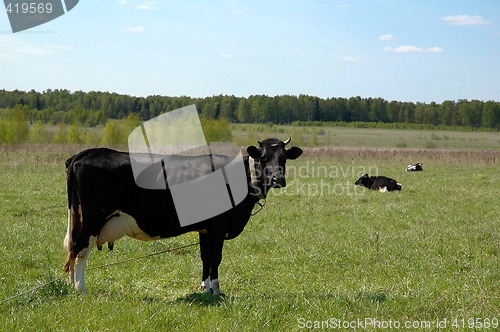 Image of Rural landscape