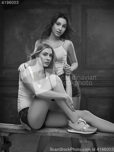 Image of Two beautiful women in erotic lingerie
