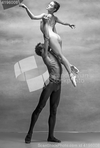 Image of Couple of ballet dancers posing over gray background