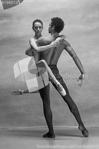Image of Couple of ballet dancers posing over gray background