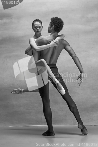 Image of Couple of ballet dancers posing over gray background