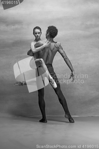 Image of Couple of ballet dancers posing over gray background