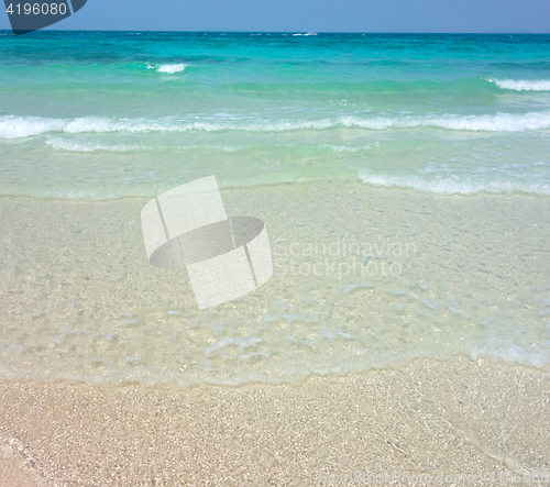 Image of tropical beach