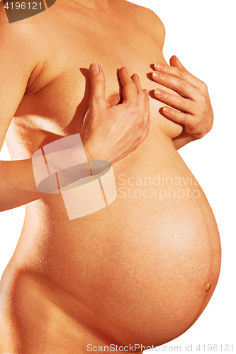 Image of pregnant woman isolated on white bg