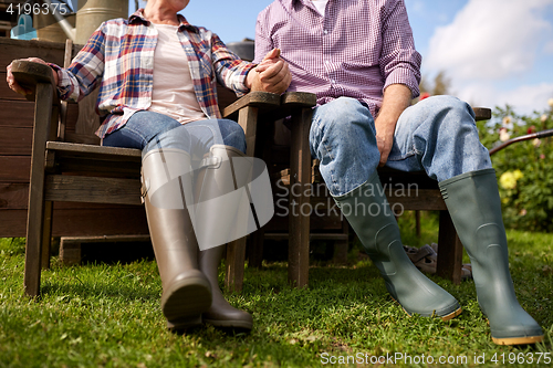 Image of happy senior couple at summer farm
