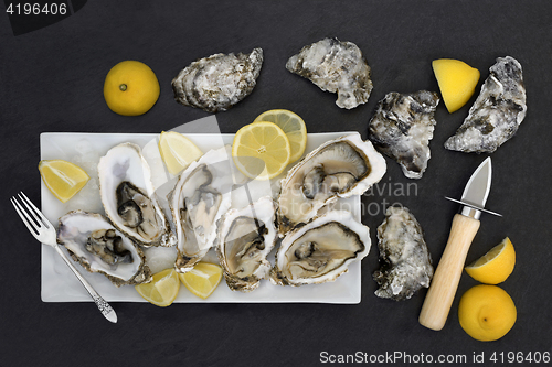 Image of Fresh Oysters Aphrodisiac Food