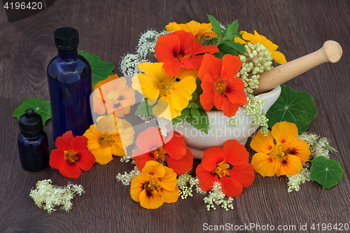 Image of Healing Flowers and Herbs