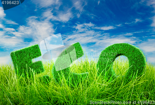 Image of Eco concept Letters on the green grass on blue sky background.