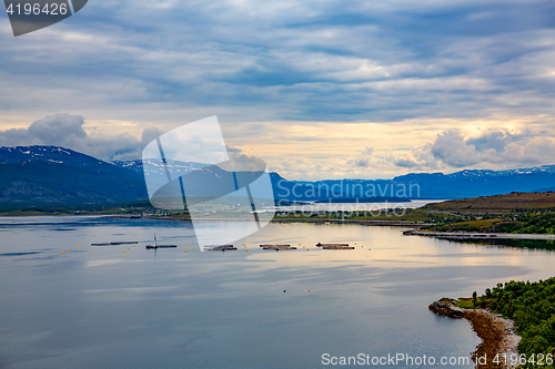 Image of Farm salmon fishing