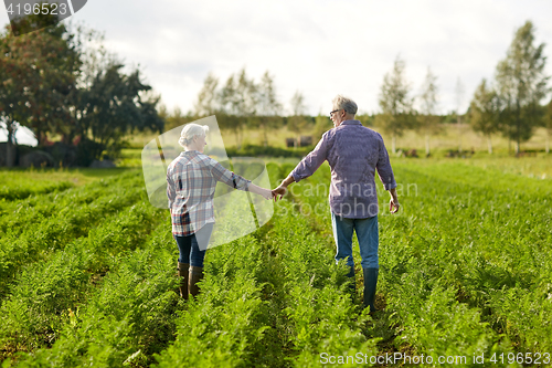 Image of happy senior couple holding hands at summer farm