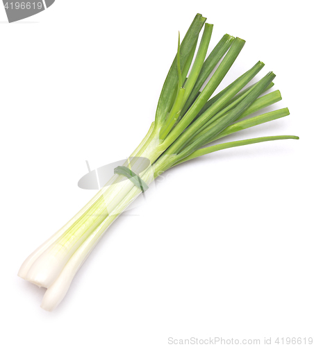 Image of green onion