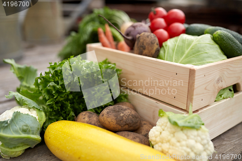 Image of close up of vegetables on farm