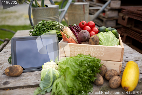 Image of close up of vegetables with tablet pc on farm