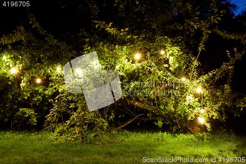 Image of tree with garland lights at night summer garden