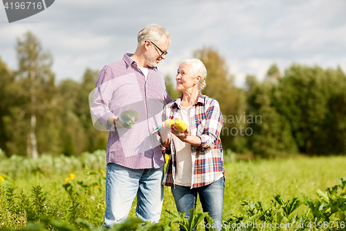 Image of senior couple with vegetables on farm