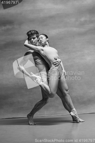 Image of Couple of ballet dancers posing over gray background