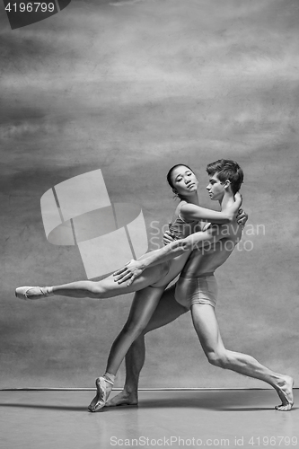 Image of Couple of ballet dancers posing over gray background