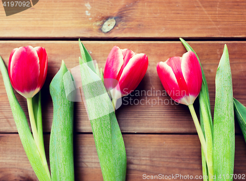 Image of close up of red tulip flowers on wooden table