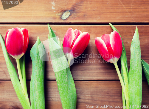 Image of close up of red tulip flowers on wooden table