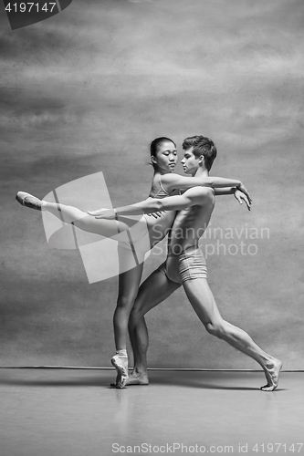 Image of Couple of ballet dancers posing over gray background