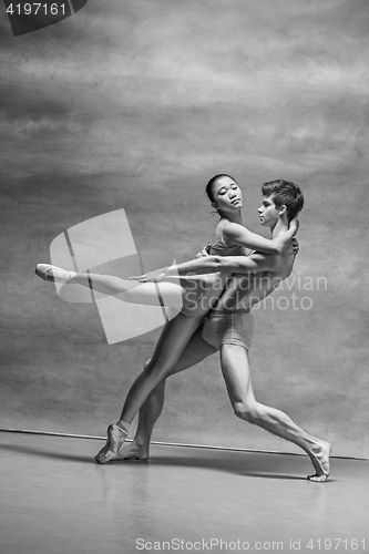 Image of Couple of ballet dancers posing over gray background