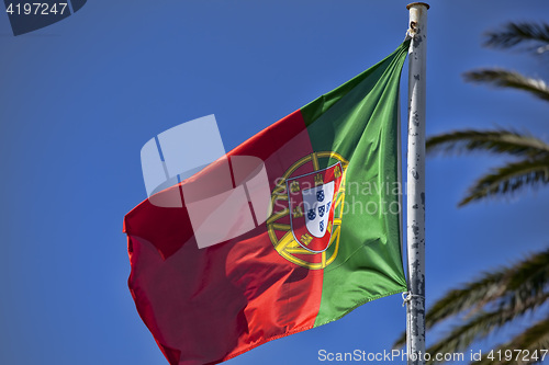 Image of The flag of portugal