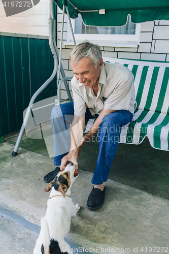 Image of Senior man playing with dog