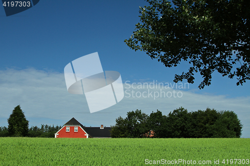 Image of Red house in Danish landscapes in the summer