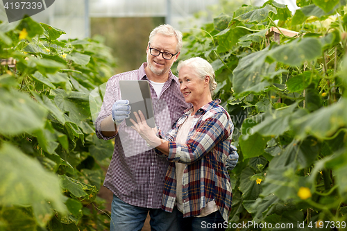 Image of senior couple with tablet pc at farm greenhouse