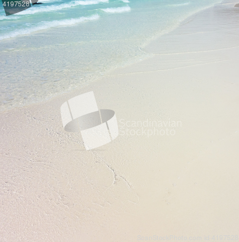 Image of tropical beach