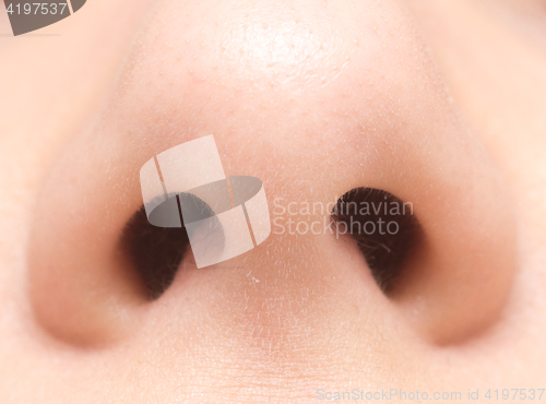 Image of human nose