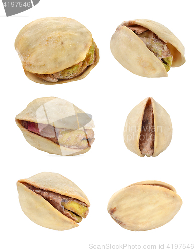 Image of Pistachio