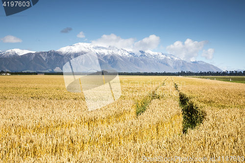 Image of beautiful landscape in the south part of New Zealand