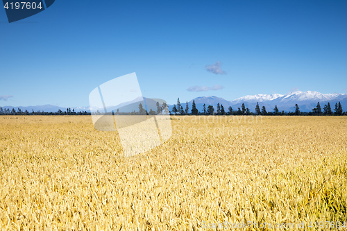 Image of beautiful landscape in the south part of New Zealand
