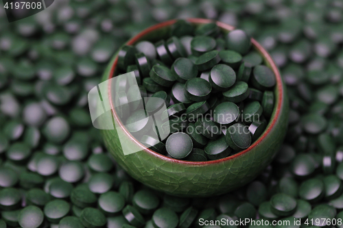 Image of spirulina