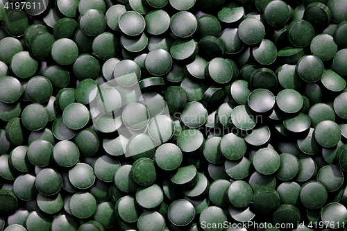 Image of spirulina