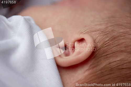 Image of close up of baby ear