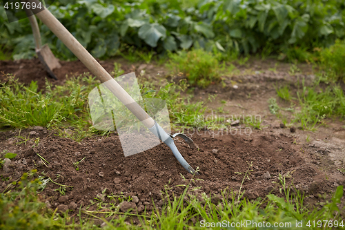 Image of rearer weeding garden bed at farm