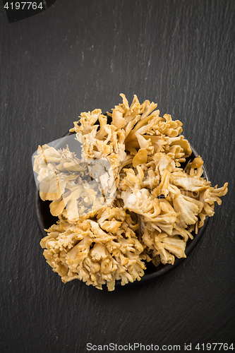 Image of Maitake - Hen of the woods